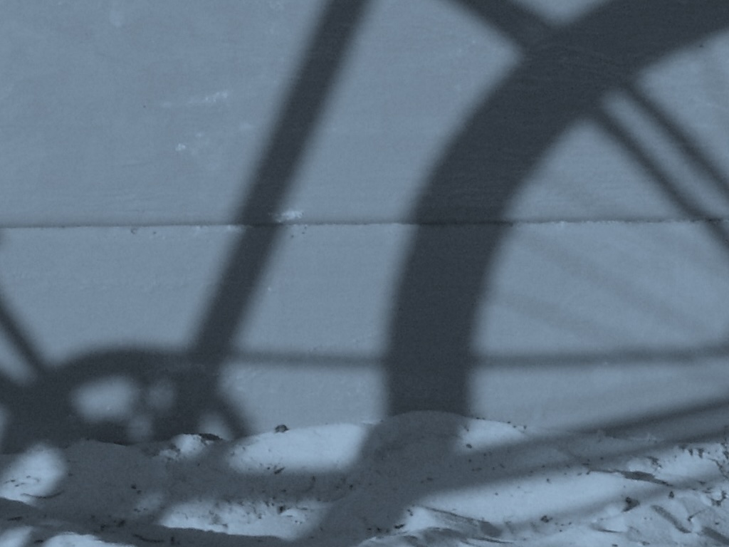 Decision Quality and Judgment