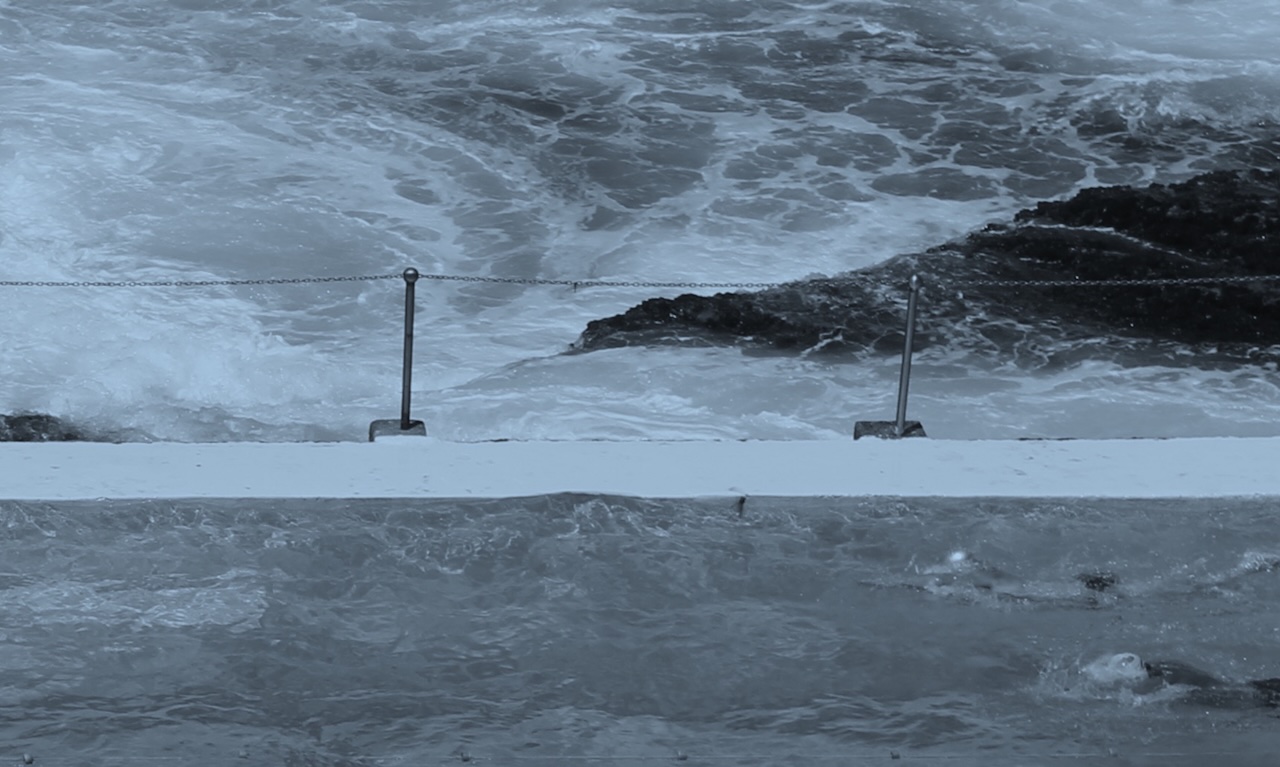 Capability Development & Learning